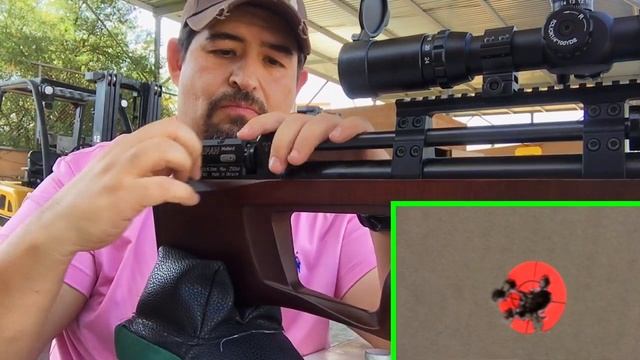 TAIPAN MUTANT SHORT CAL 22 GRUPOS CON JSB 16 Y 18 GRAINS смотреть онлайн