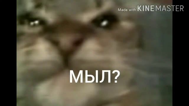 Кiт мав (rytp) смотреть онлайн