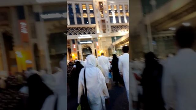 reveiw Jarak hotel tara akhalil dari masjidilHarom смотреть онлайн