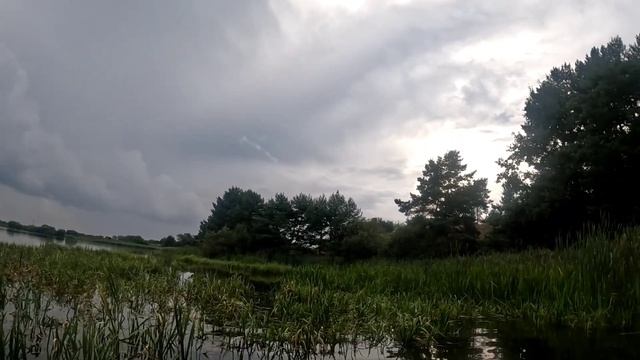 Охота на цапель в Беларуси 2024 часть 7 смотреть онлайн