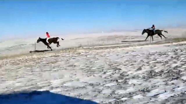 Қытайдың Алтайында өткен аламан бәйге! 1 орын Тасқын атты жүйрік екен смотреть онлайн