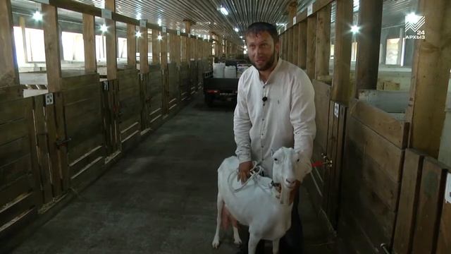 Виталак - козье молоко. смотреть онлайн