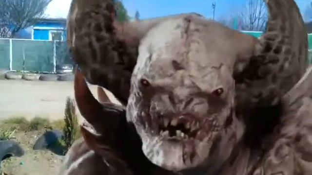 FxGuru Video