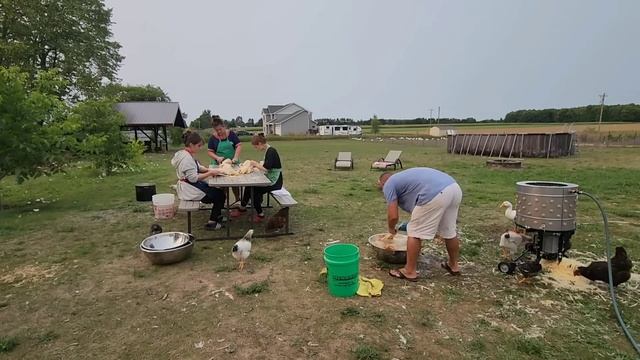 ДЕРЕВЕНСКИЕ ДЕВЧОНКИ НЕ БОЯТСЯ РАБОТЁНКИ / ДЕВУШКИ КРАСАВИЦЫ ХОЗЯЮШКИ УМЕЮТ ВСЁ ! смотреть онлайн