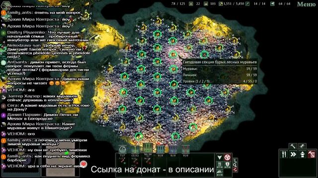 Новогодние посиделки: общаемся в прямом эфире! \\ Димон и пумба смотреть онлайн