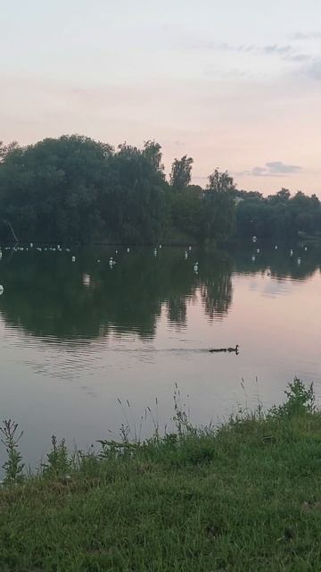 🌜Twilight🌛 Sounds of Nature 🌝 When Night Falls 🌕 смотреть онлайн