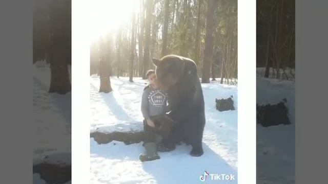 😳HUGE RUSSIAN BEAR CHILLING😱 with human guy | wild animal winter snow #shorts смотреть онлайн