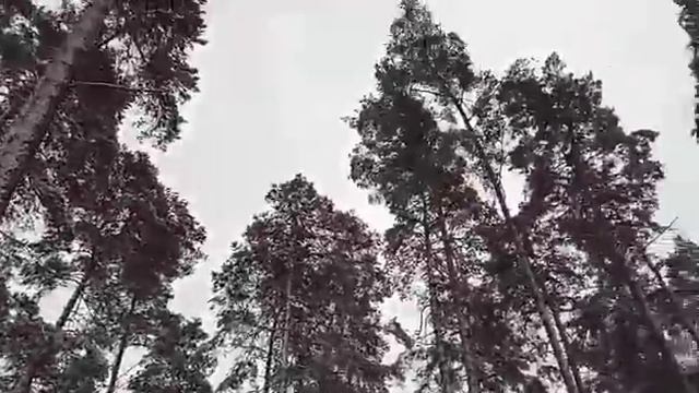 Фейт смотреть онлайн