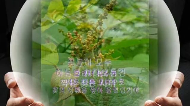 예덕나무의 예절과 덕성 смотреть онлайн
