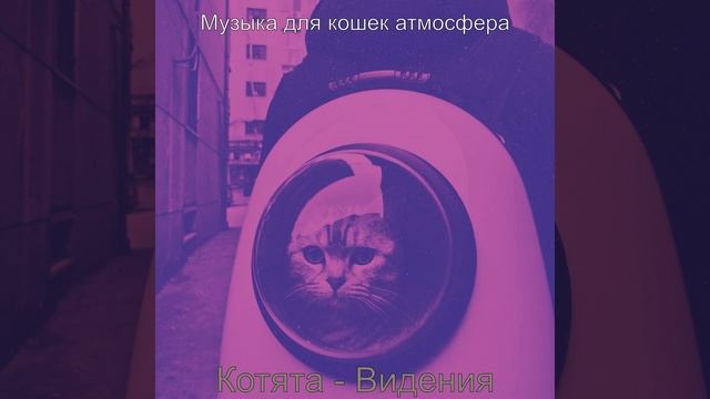 Звуки (Кошки) смотреть онлайн