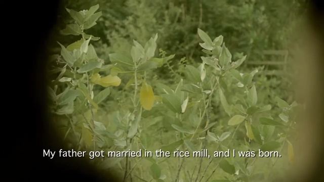 Trafficking Documentary Video From Passion 2012 Part 3 смотреть онлайн