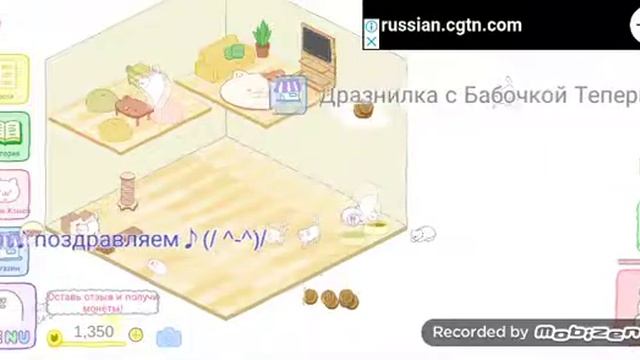 Новый котик. Кошачий мир #2 смотреть онлайн