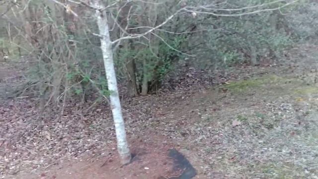 ZTE Axon 7 1080p 60fps video sample смотреть онлайн