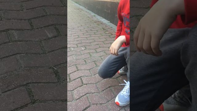 Гуляю с вороном 2.0 смотреть онлайн