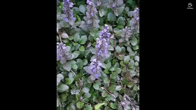 Жизнь прекрасна во время пандемии 😍 смотреть онлайн