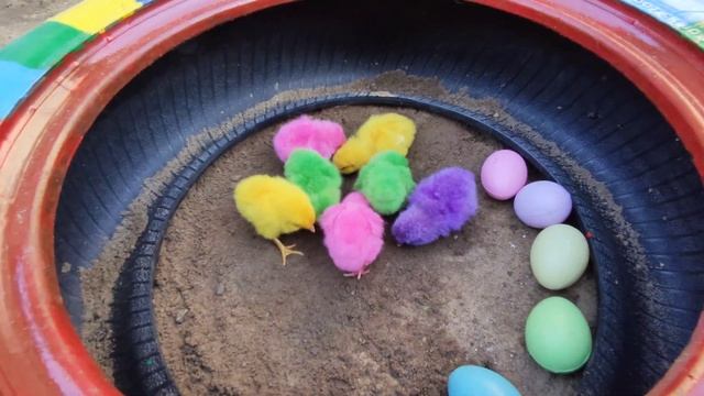 100 Million Cute Chickens, Catch Colorful Chickens, Rainbow Chickens, Rabbits, Ducks,Cute Animals#0 смотреть онлайн