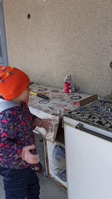 Как тигр делает #шортсютуб #юморздесь #смешноймомент #тигр смотреть онлайн