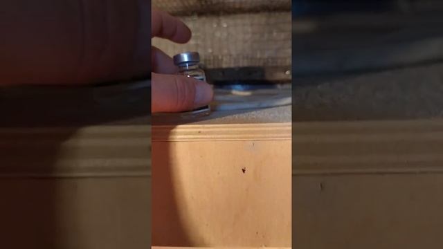 Балапандарга жана препарат тауып, куанып. 😃😃😃😃👍👍👍👍 смотреть онлайн