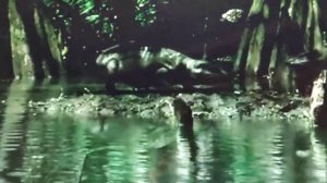 Прогулки с монстрами. Жизнь до динозавров.