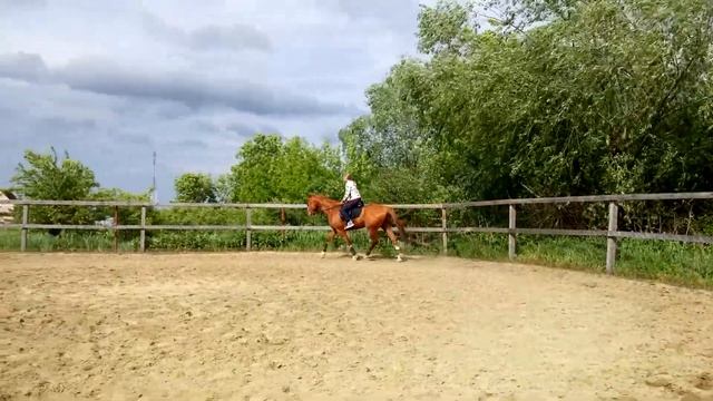 Сеня, рысь смотреть онлайн