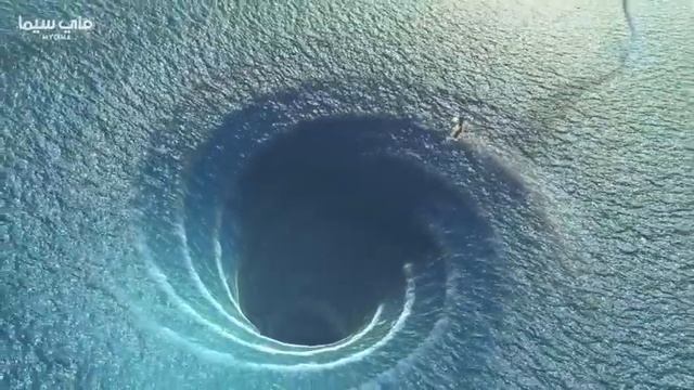 Space Dogs Return To Earth 2020