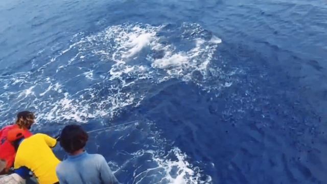 320 lb Giant Blue Marlin hooked смотреть онлайн