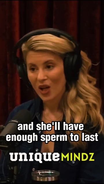 Joe Rogan On The Harsh Life Of Male Honey Bees #shorts #joerogan #motivation смотреть онлайн