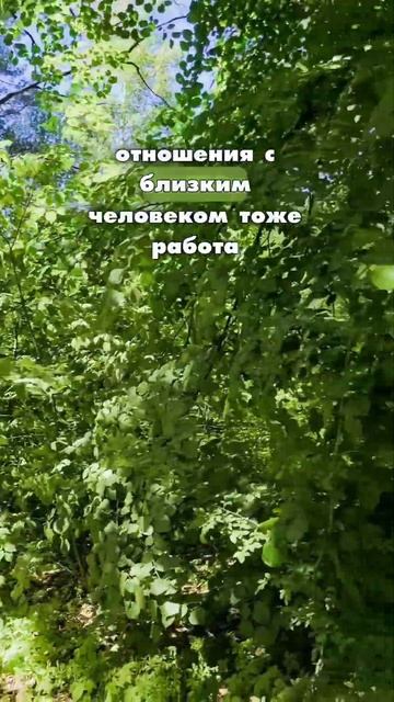 О том, что даёт телу окрепнуть для того, чтобы организм начал справляться с болезнями. смотреть онлайн
