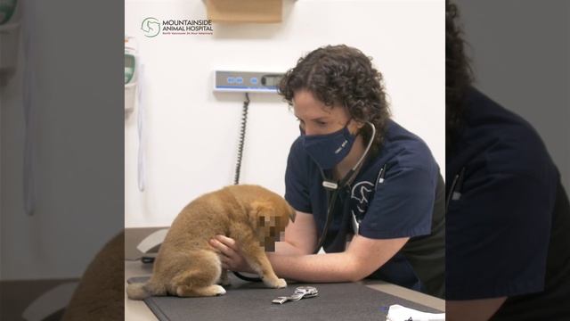 Patient First Care...Anytime Day or Night смотреть онлайн