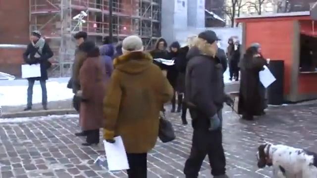 собака на улице Яуниела в Риге год 2012 смотреть онлайн