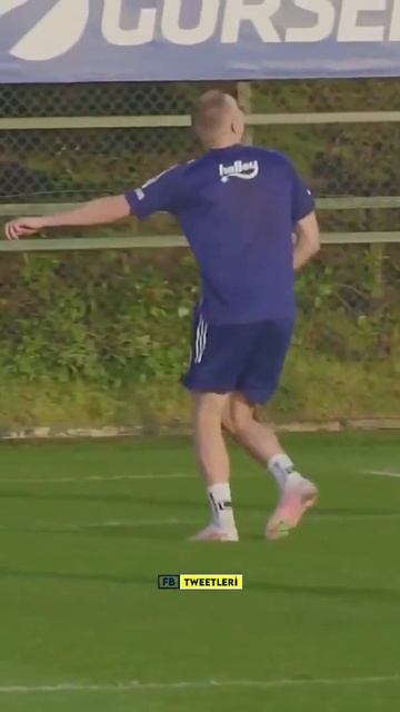 Attila Szalai смотреть онлайн