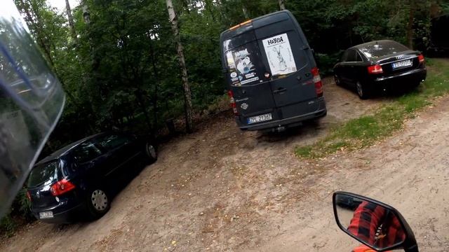 Дикие кабаны на окраине Щецина смотреть онлайн