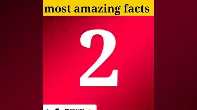 world biggest rabbit। blue whale।facts। interesting facts 😱🤔।#shorts #facts #short смотреть онлайн