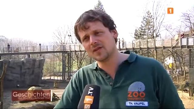 Geschichten aus dem Osnabrücker Zoo -- Silberfüchse смотреть онлайн