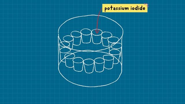 Breaking An Elephant Toothpaste World Record | KiwiCo