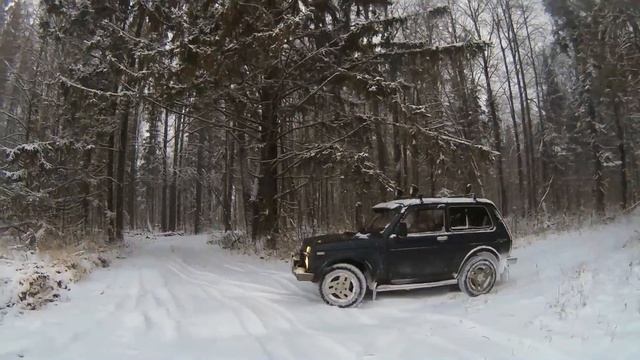 На зайца смотреть онлайн