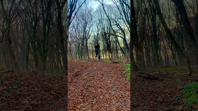 Scott. Treck. Merida. Улетел в яму. Осень почему то любимая пора для катаний. смотреть онлайн