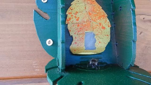 Čmelák lesní (Bombus sylvarum L.) смотреть онлайн