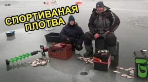 Спортивная плотва, ловля капризной рыбы, устроили соревнования по спортивной рыбалке🙂