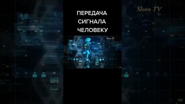 В лабиринте сигналов, которые не распознаем.Излучение, направленное против нас, душит нашу сущность