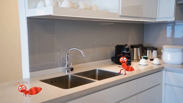 Si te shpetoni nga milingonat e shtepise me keto menyra natyrale смотреть онлайн