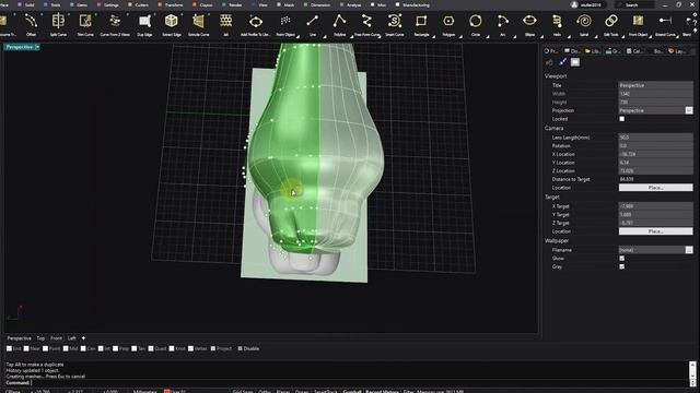 Panther (lion) Head Surface Modeling in MatrixGold смотреть онлайн