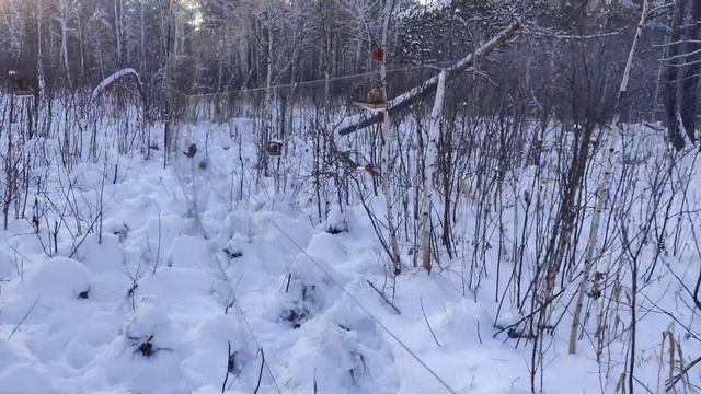 27 ноября 2023 г. смотреть онлайн