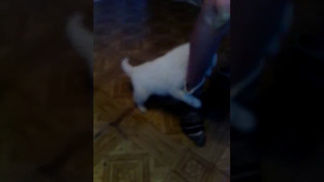 12 мая 2017 г. смотреть онлайн