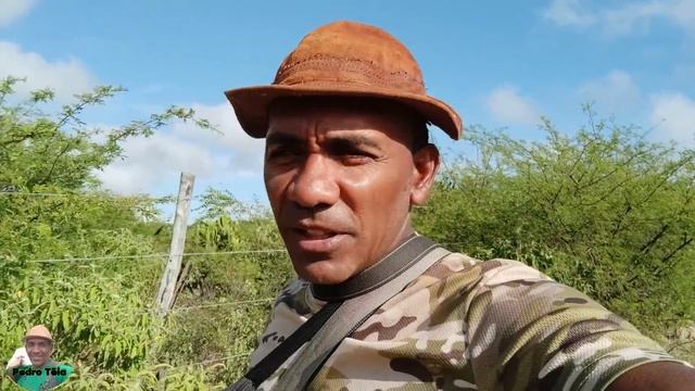 INCRÍVEL! O SERTÃO É ASSIM E VOCÊ NÃO SABIA. MUITAS AVES DANDO UM SHOW NO AMANHECER - BÔNUS NO FINA смотреть онлайн