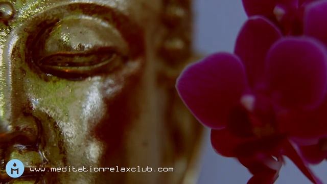30 MIN Zen Buddhist Meditation 🎋 Meditation Music Free, Chinese Bamboo Flute with Nature Sounds смотреть онлайн