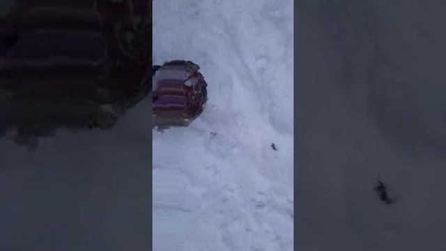 Игры на свежем воздухе со своим другом. Нуртаева Альнур Осакаровка 1 школа 2 а класс смотреть онлайн