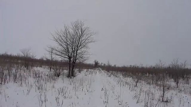 Вспомнилось из прошедших охот! смотреть онлайн