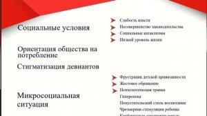 24. Видео лекция Делинквентное поведение личности