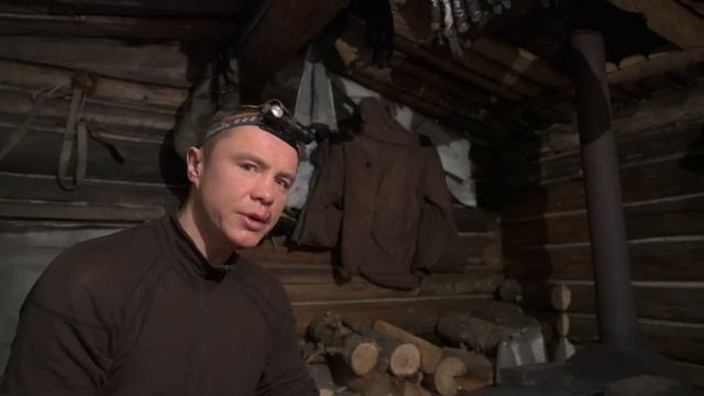 Зимняя охота с лайками на соболя, лося. смотреть онлайн